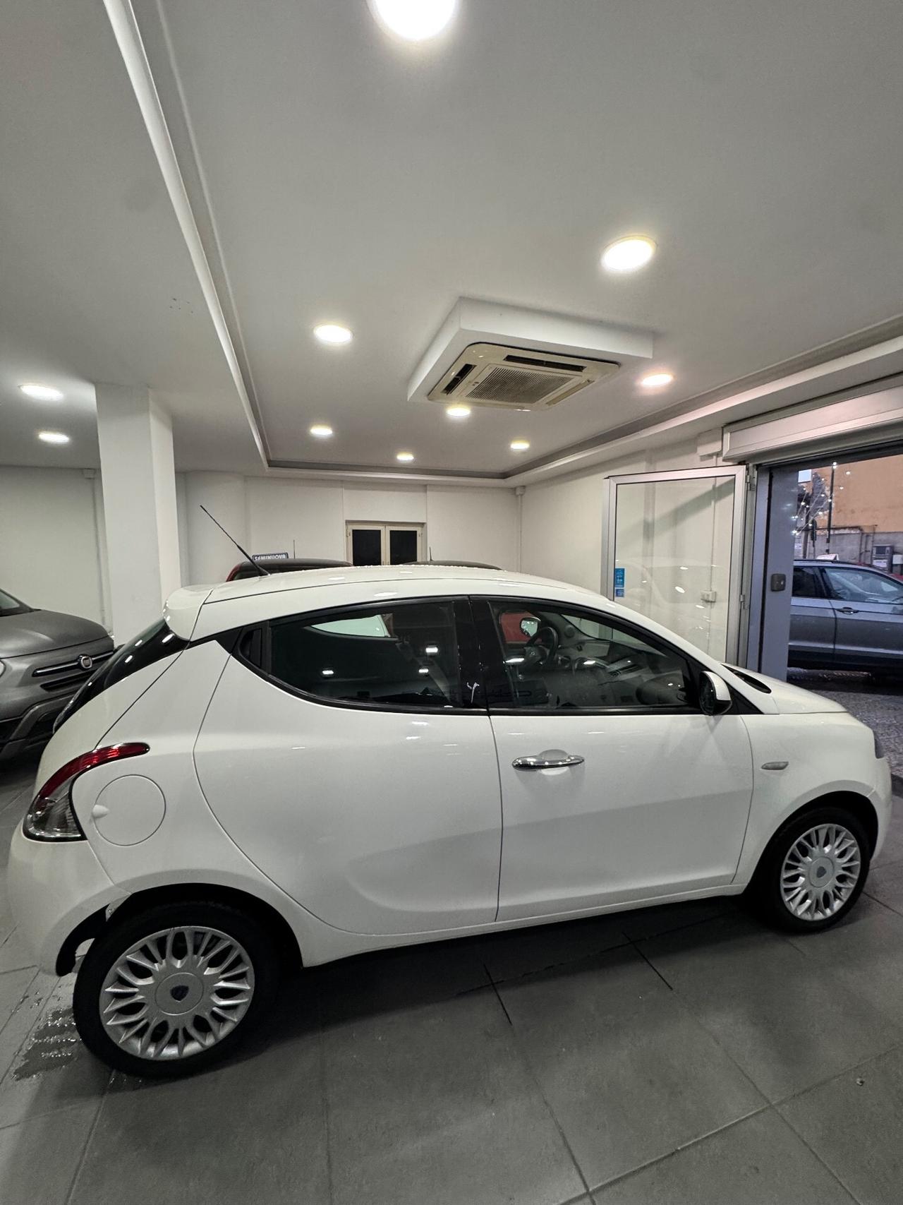 Lancia Ypsilon 1.3 MJT 16V 95 CV 5 porte S&S Platinum