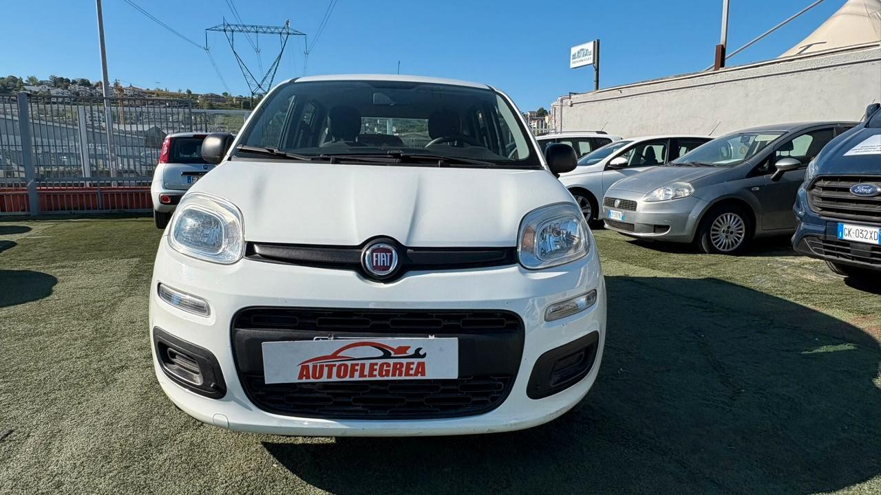 Fiat Panda 1.2 312PXA1A | BENZINA| 169A4000 CC 1242 CV 69 KW 51 BERLINA, 5 P.