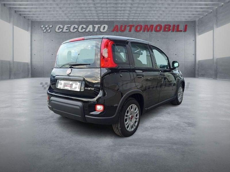 FIAT Panda Panda 1.0 firefly hybrid s&s 70cv