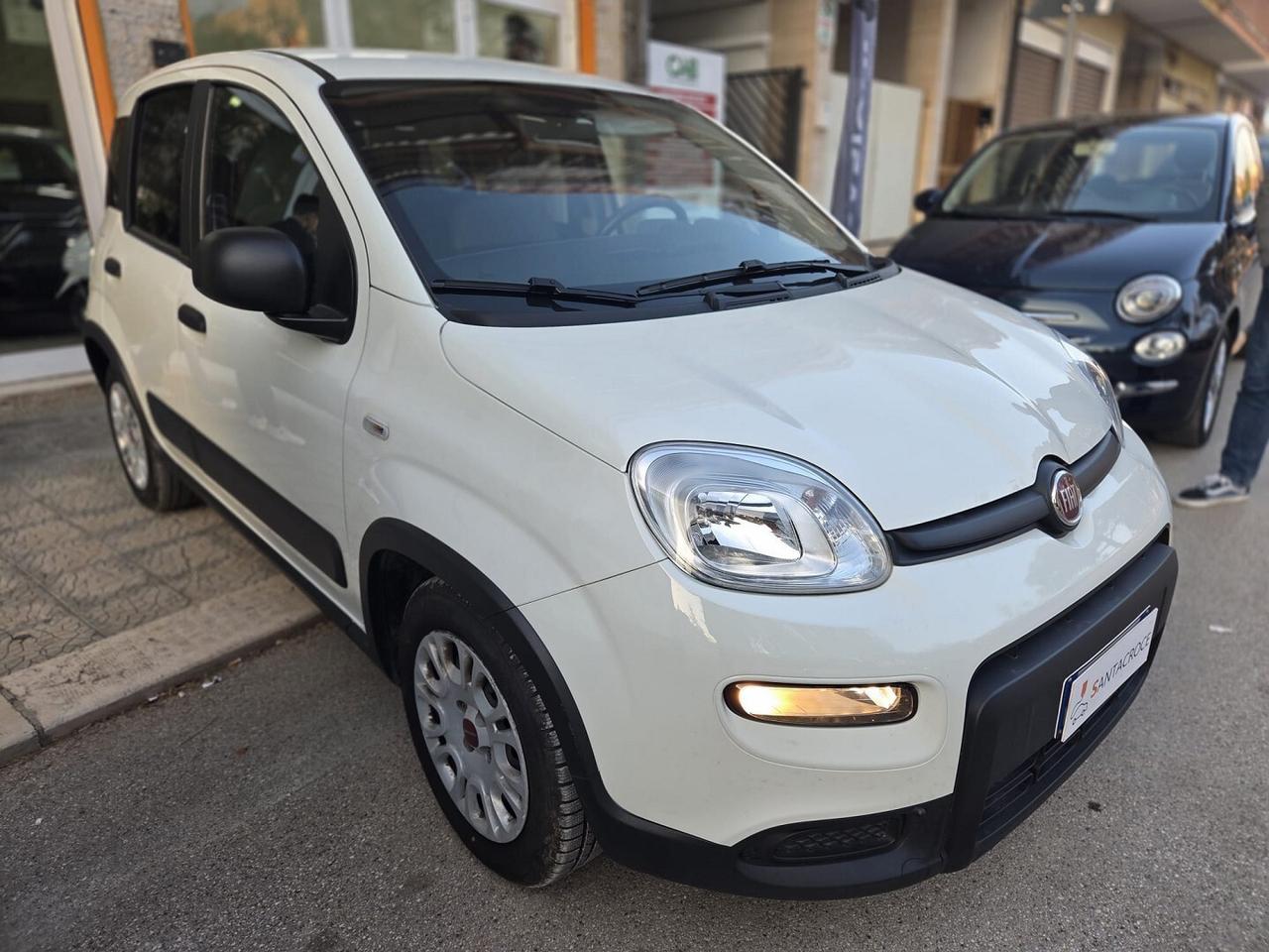 FIAT PANDA 1.0 70cv Hybrid Euro 6d Van 4 p. Street