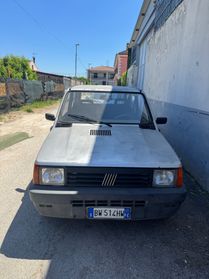 Fiat Panda 1100 i.e. cat Young