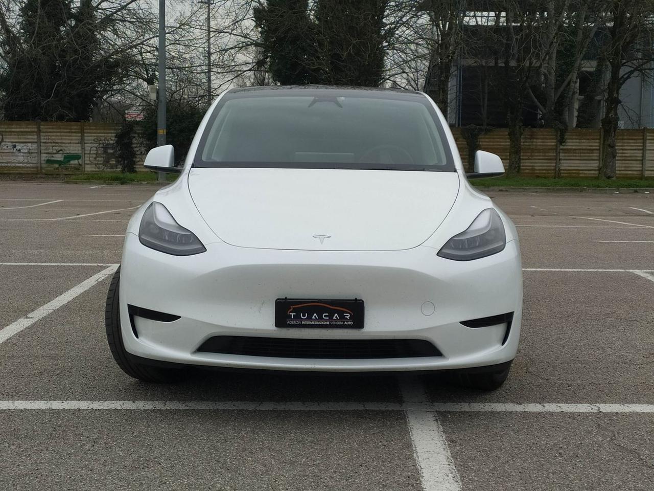 Tesla Model Y Standard Range / Standard #9113