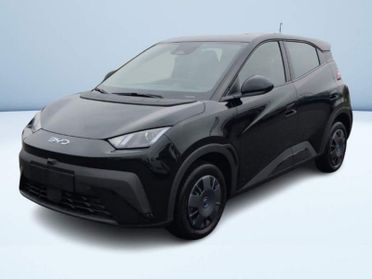 BYD Dolphin Surf Active