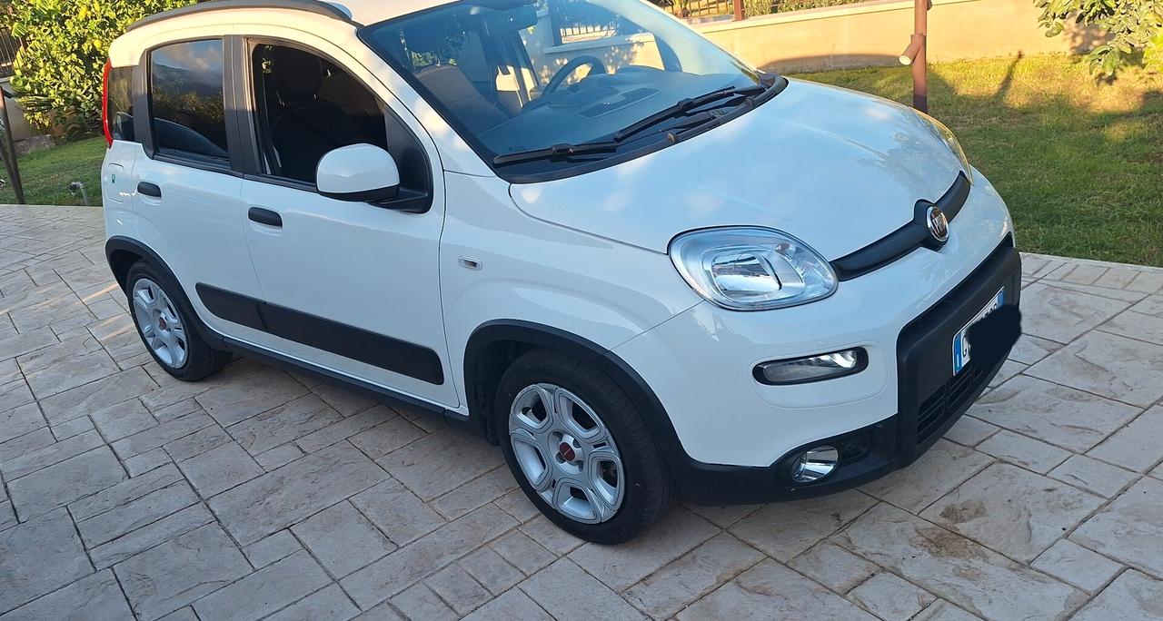 Fiat Panda 1.0 FireFly S&S Hybrid City Life