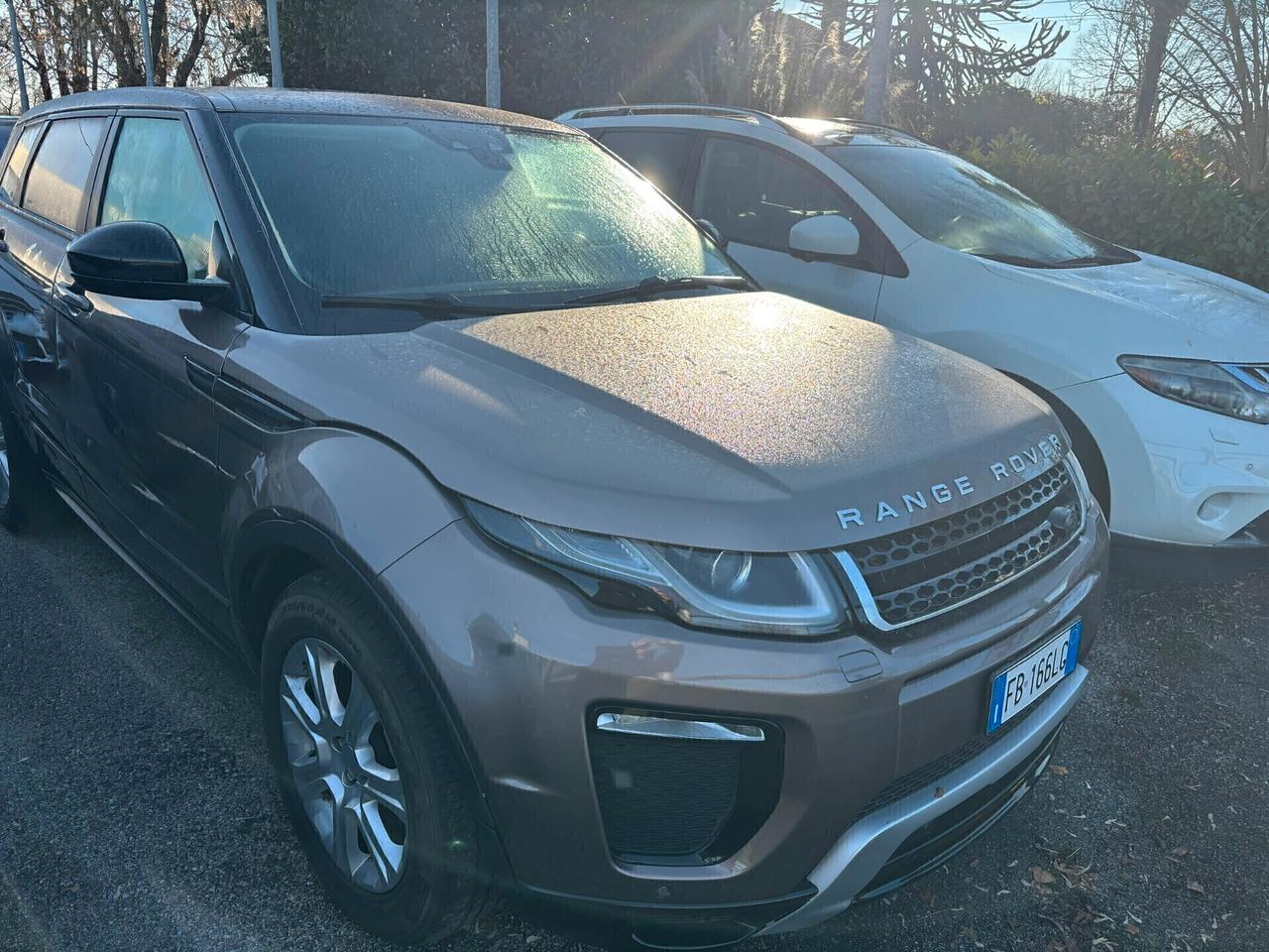 Land Rover Range Rover Evoque 2.0 TD4 180 CV 5p. Pure Neopatentati (patente dopo nuovo decreto legge del 14 dicembre 2024) Cambio Automatico