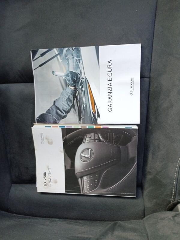 Lexus UX UX Hybrid Executive