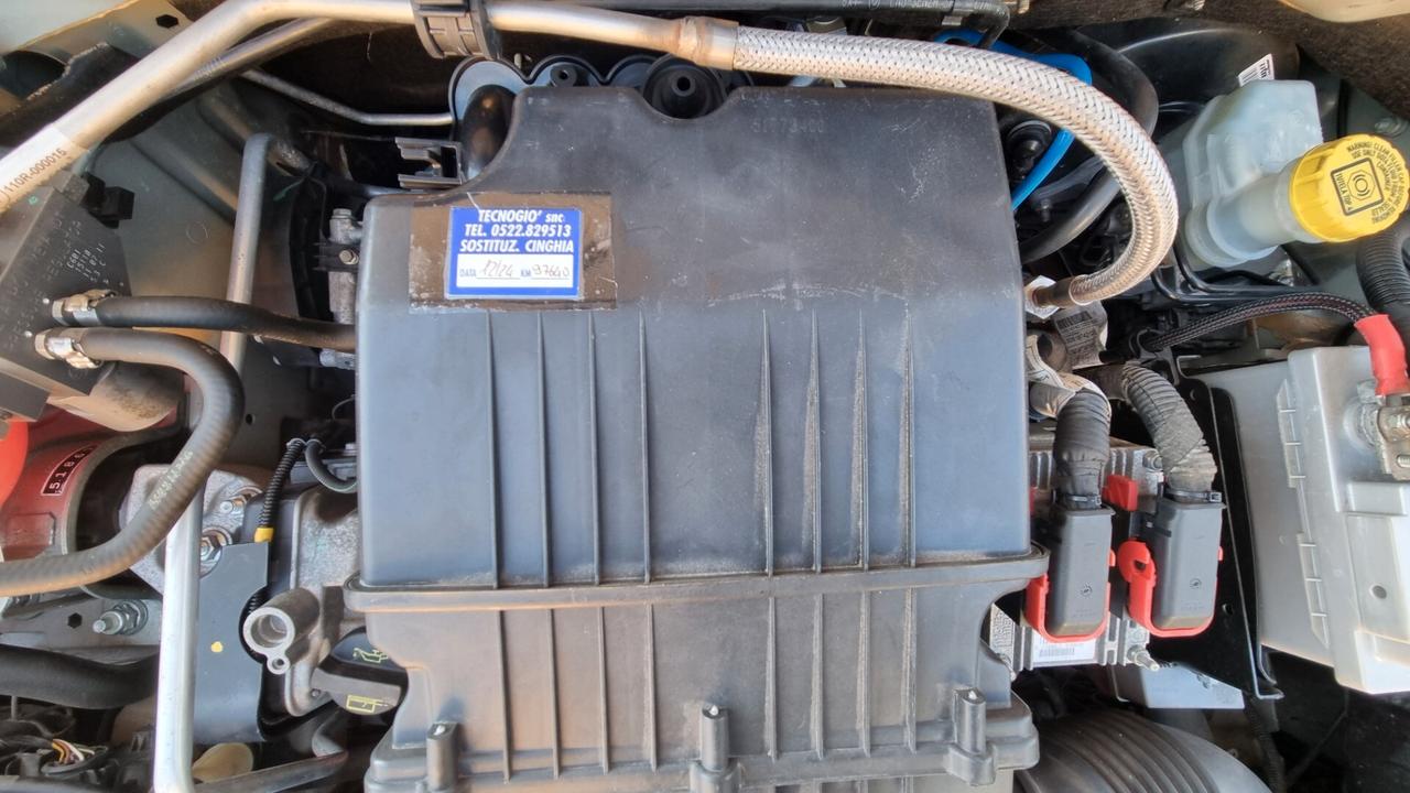 Fiat Panda 1.4 BENZINA METANO KM 97.000 DISTRIBUZIONE FATTA