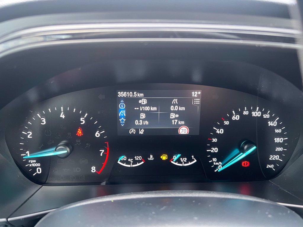 FORD Focus 1.0 EcoBoost Hybrid 125 CV 5p. ST-Line Design del 2022