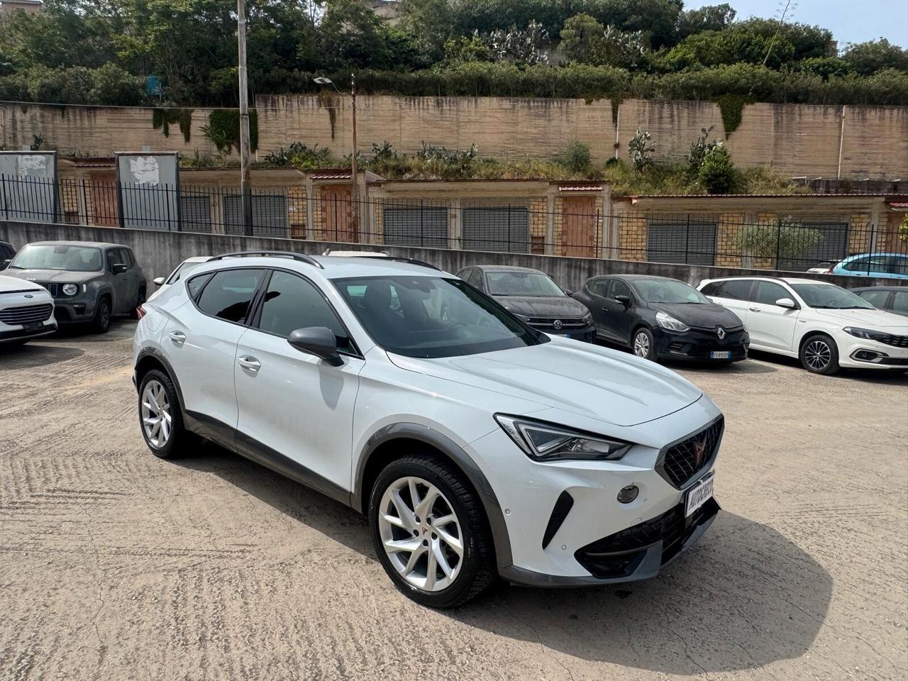 Cupra Formentor 2.0 TDI 4Drive DSG