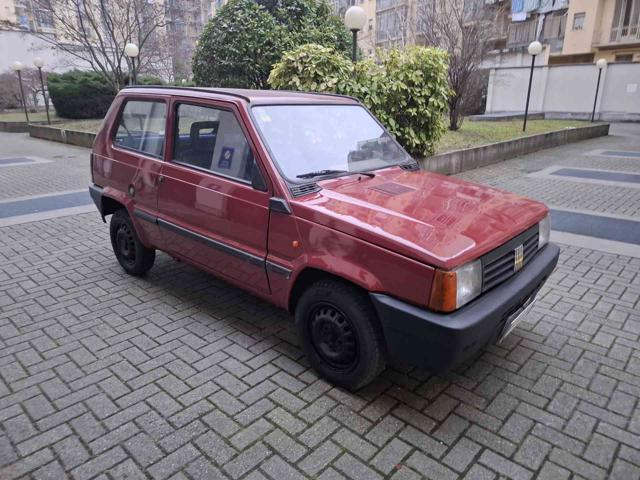 FIAT Panda 1ª serie 900 i.e. cat Young