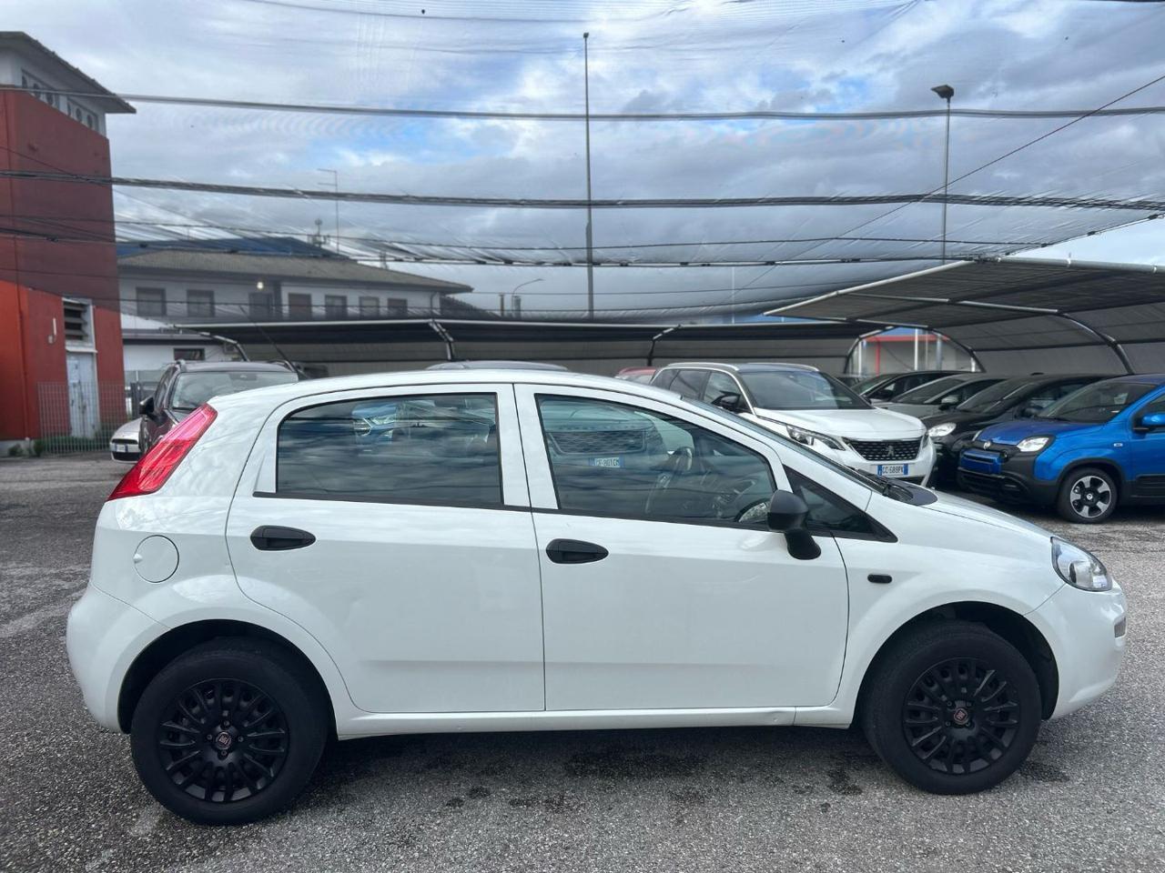 FIAT Punto 1.4 8V 5 porte Natural Power Street