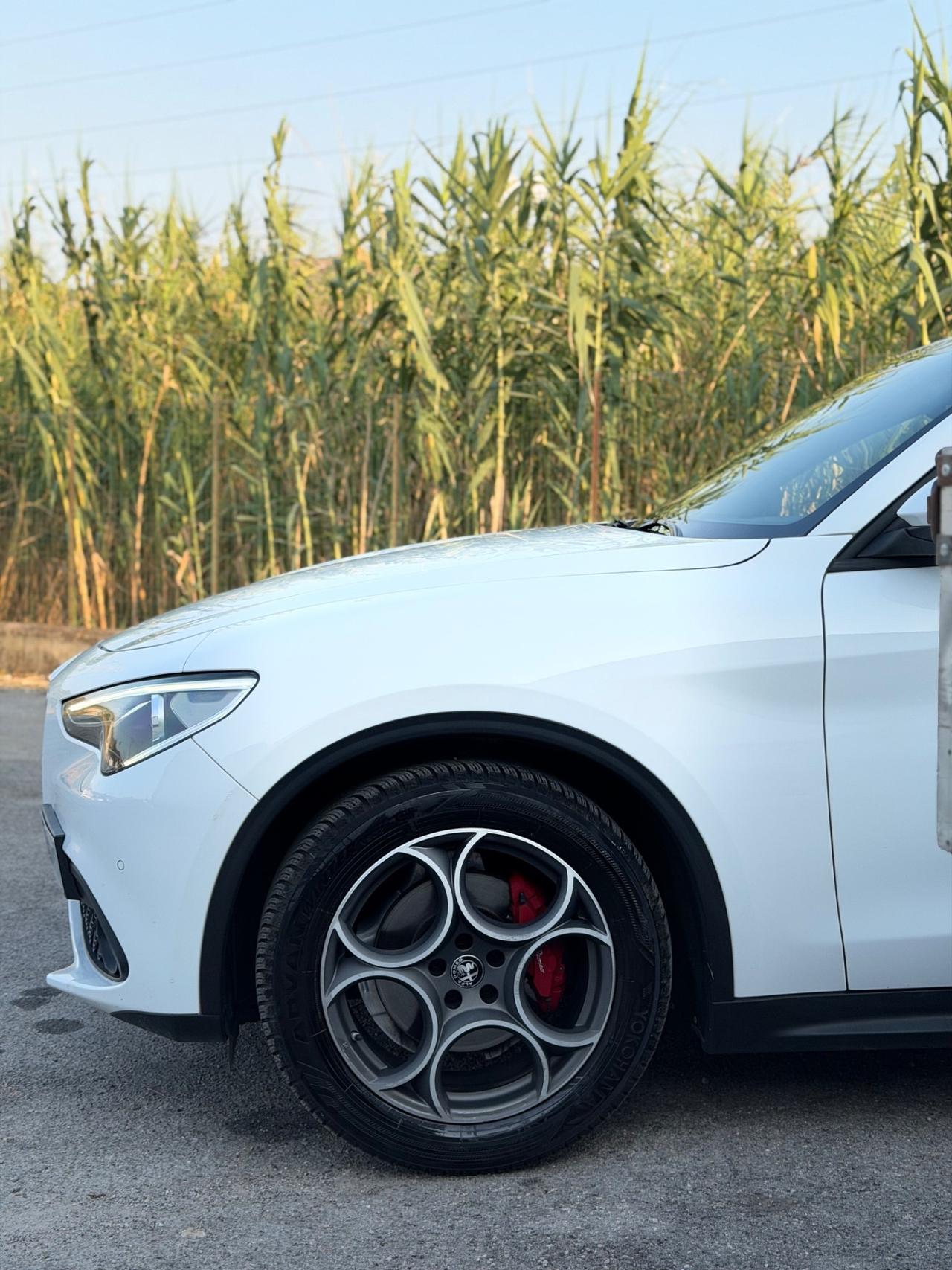 Alfa Romeo Stelvio 2.2 Turbodiesel 160 CV AT8 RWD Sprint