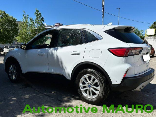 FORD Kuga 1.5 EcoBlue 120 CV 2WD Titanium Business