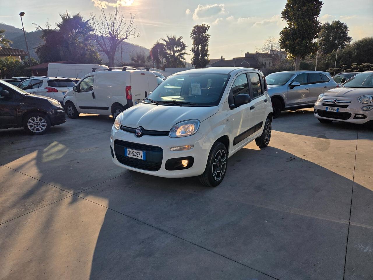 Fiat Panda 900 BENZINA S&S 4x4 - 2021 ACCESSORIATA