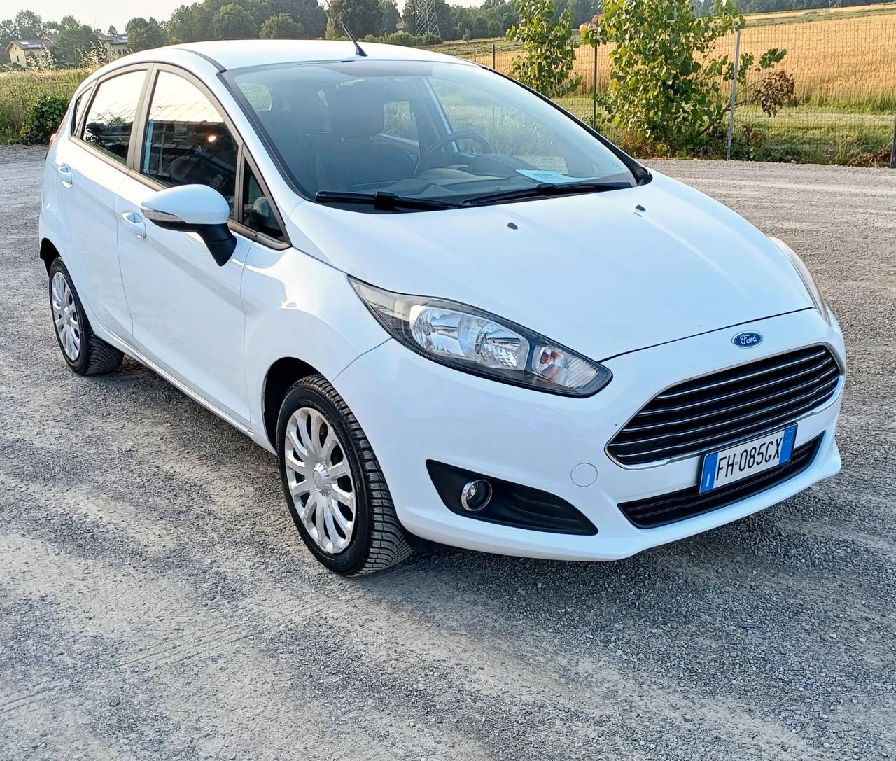Ford Fiesta 1.4 5 porte Bz.- GPL Black & White Edition