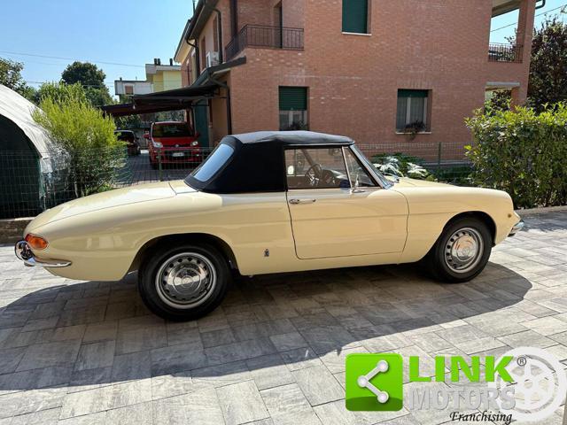 ALFA ROMEO Spider 1.3 Junior Osso di Seppia COMPLETAMENTE RESTAURATA