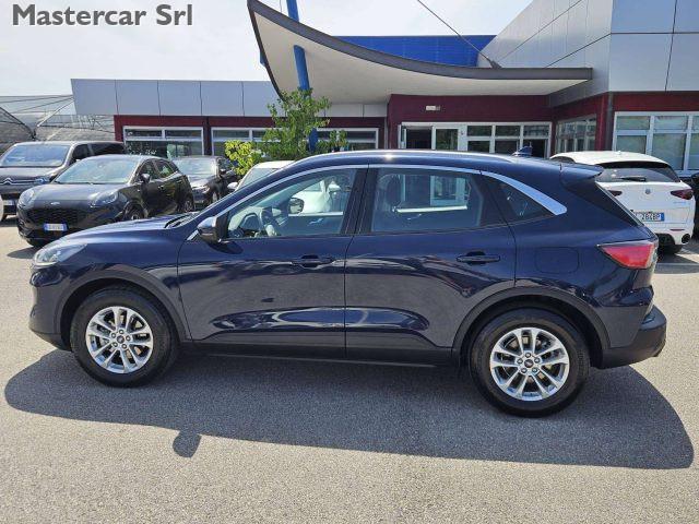 FORD Kuga 2.0 ecoblue mhev Titanium Business 2wd 150cv tg :
