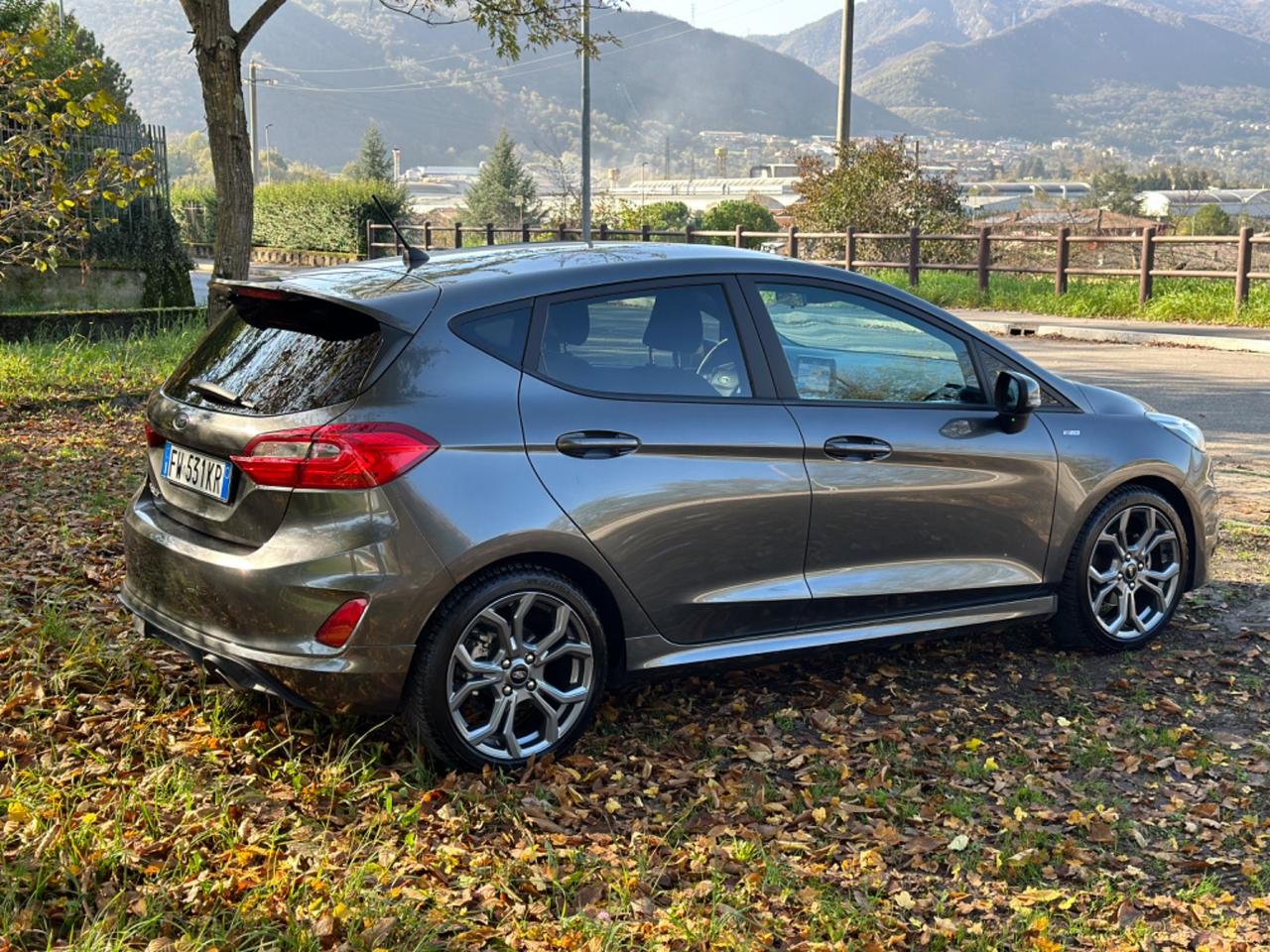 Ford Fiesta 1.5 EcoBlue 5 porte Vignale