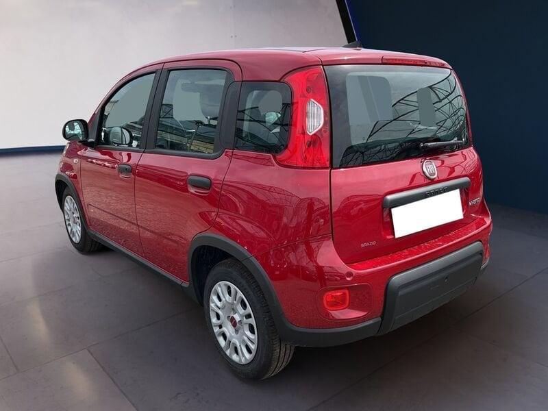 FIAT Panda My24 1.0 70cv Hybrid Panda