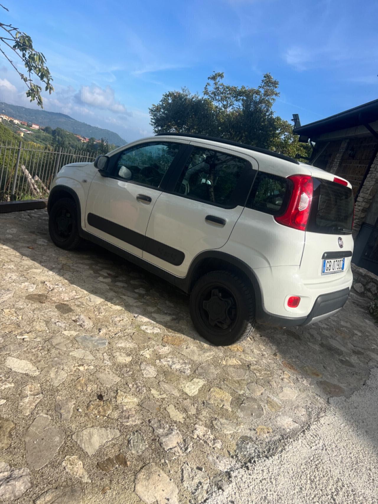 Fiat Panda 0.9 TwinAir Turbo S&S 4x4 Wild