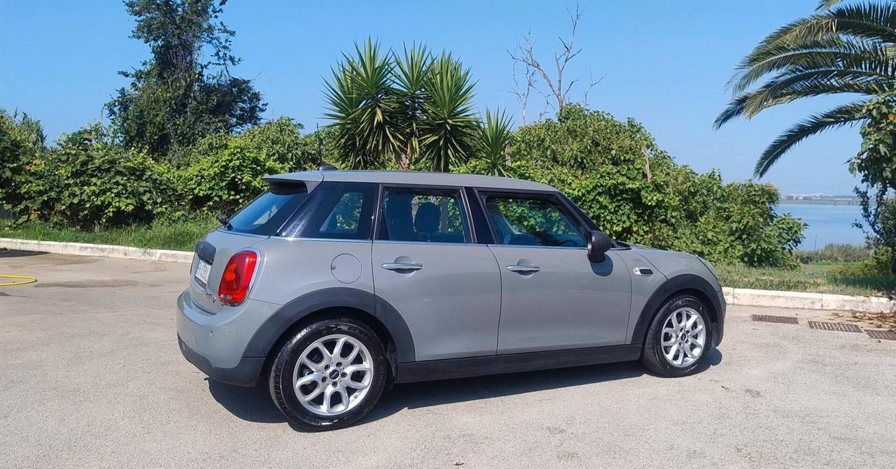Mini 1.5 One D
