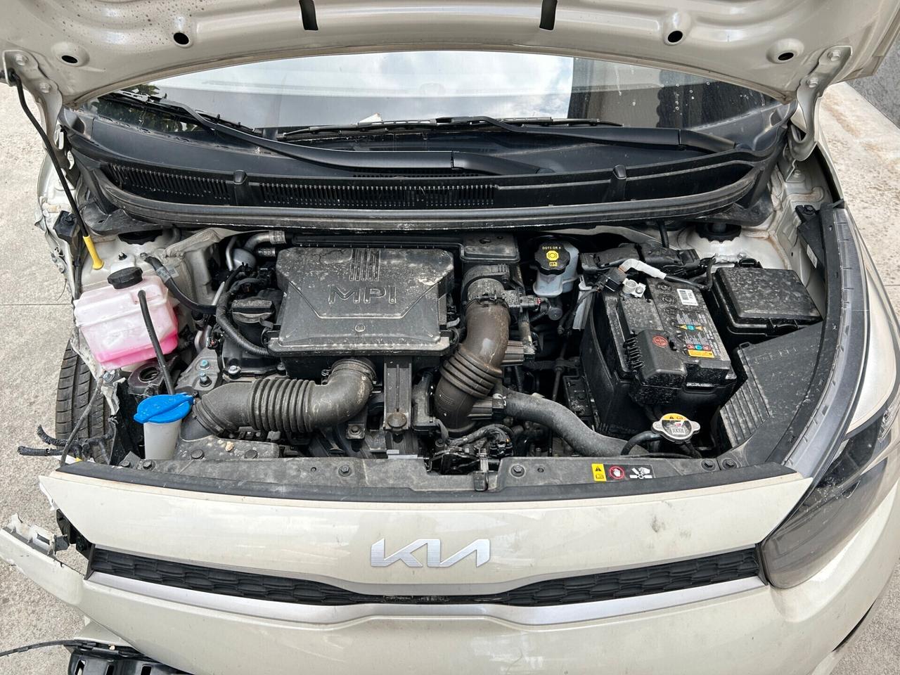KIA PICANTO 1.0 Benzina 65CV - 2024 Incidentata