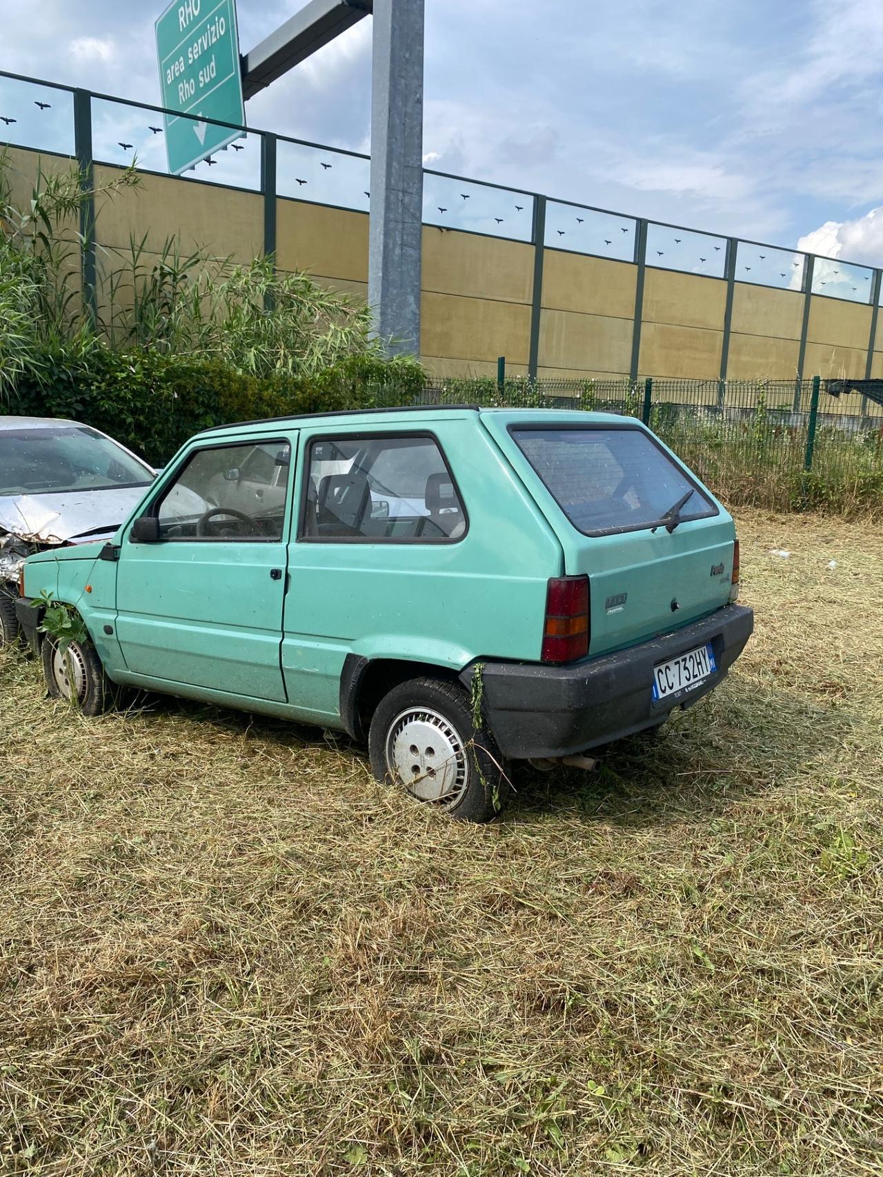 Fiat Panda 1100 i.e. cat Young
