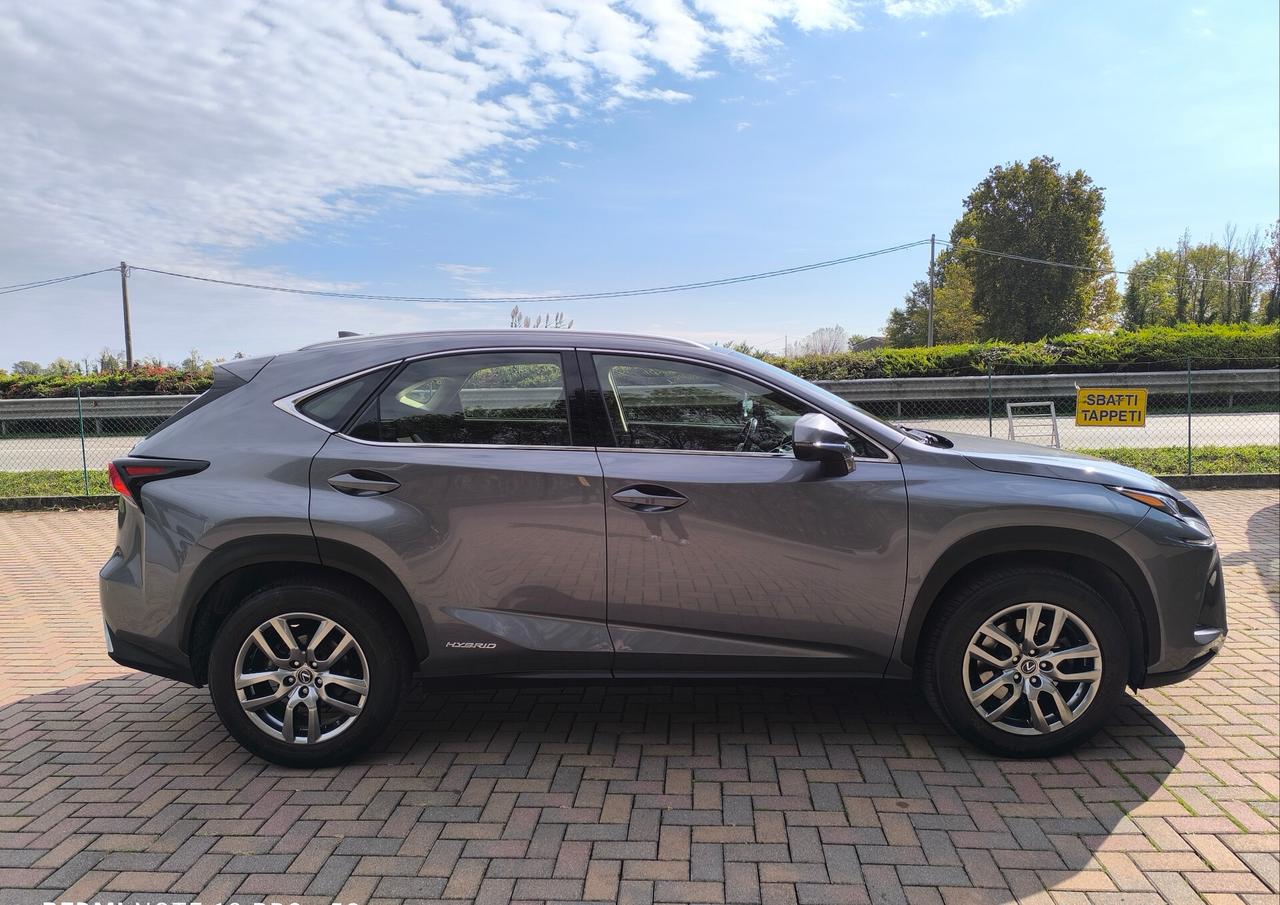 Lexus NX 300h Hybrid Business