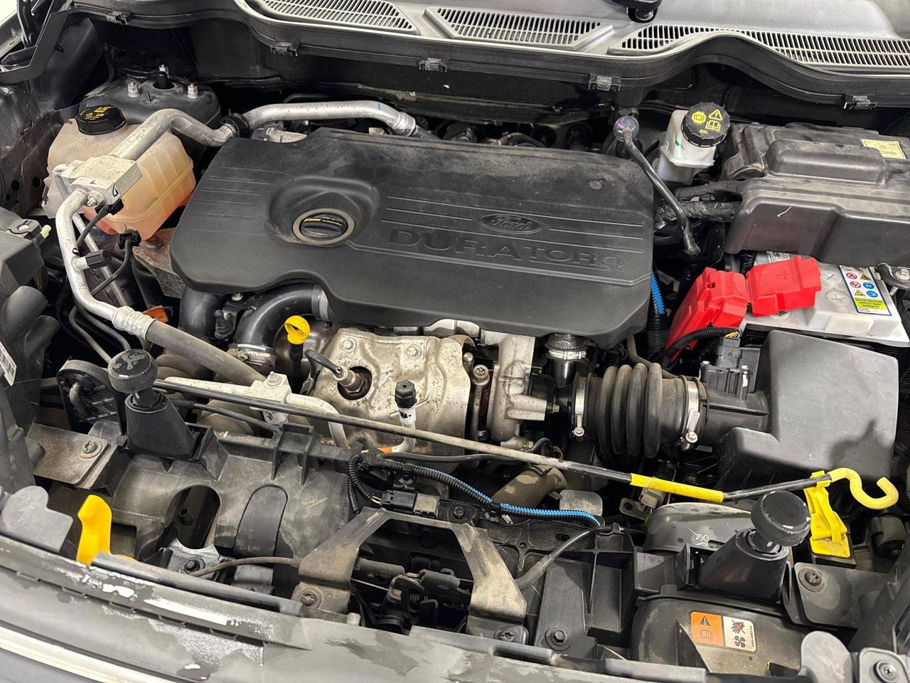 Ford EcoSport 1.5 tdci Business 95cv