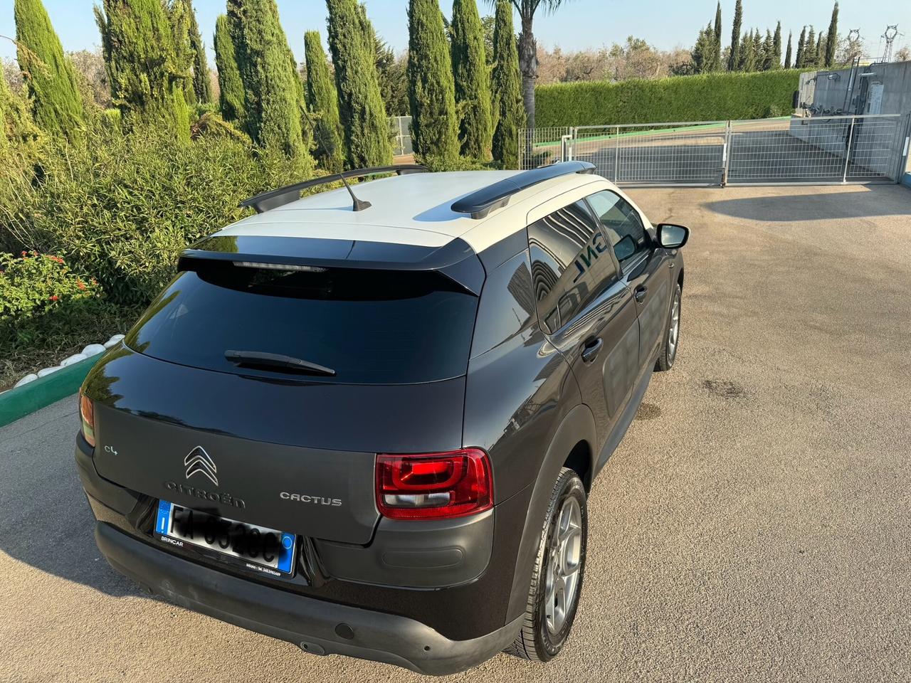 Citroen C4 Cactus PureTech 110 S&S Feel