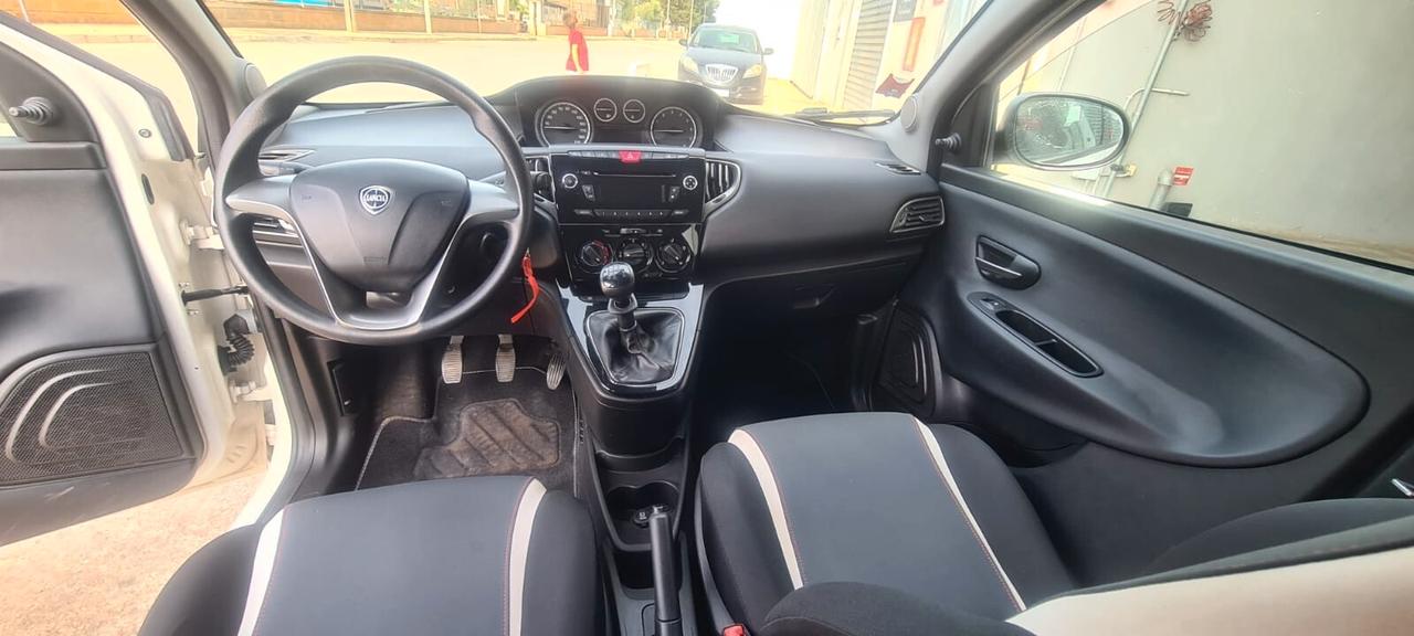 Lancia Ypsilon 1.2 69 CV 5 porte Elefantino