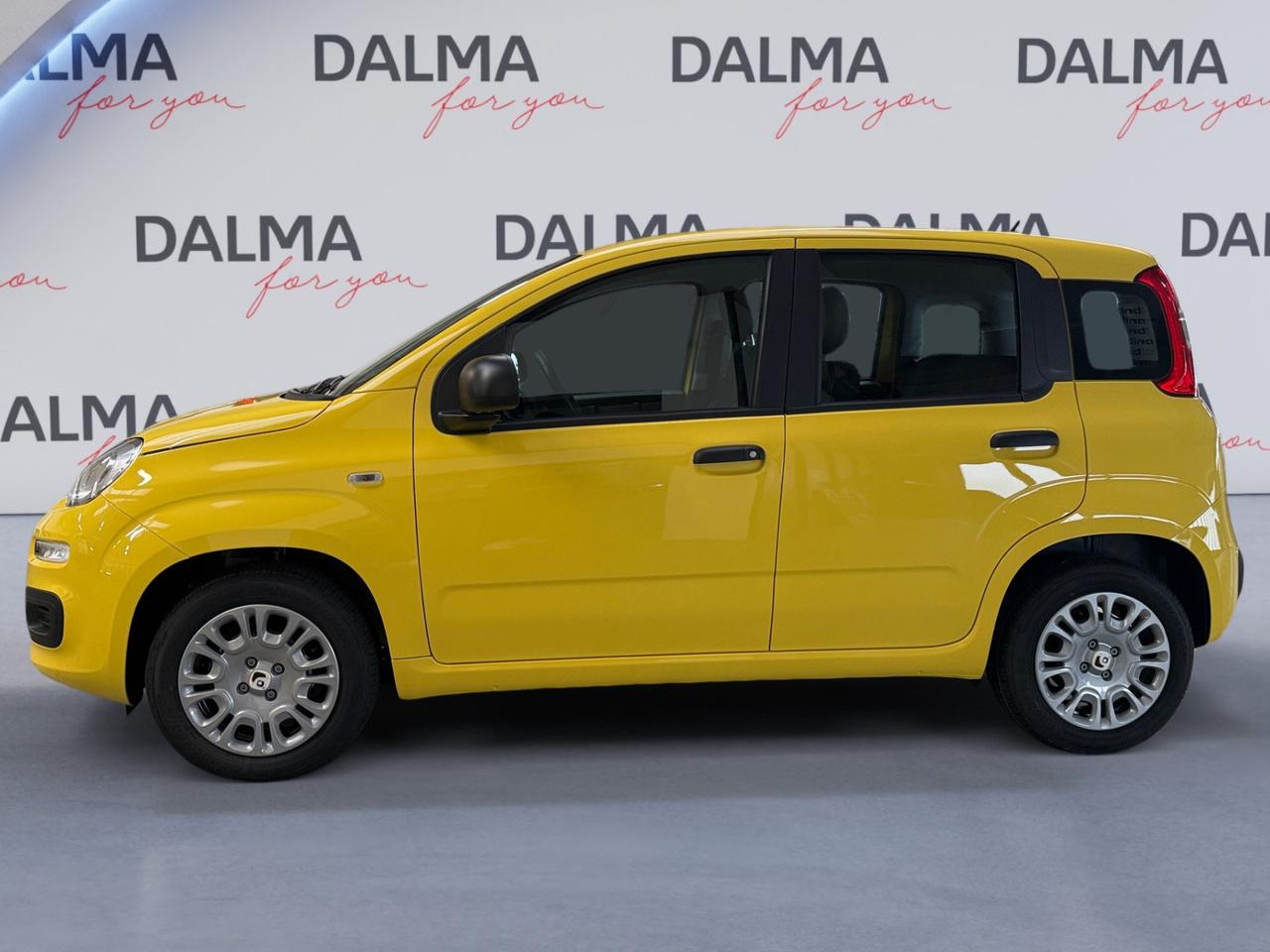 FIAT Pandina III 2024 - Pandina 1.0 firefly hybrid Pop s&s 70cv