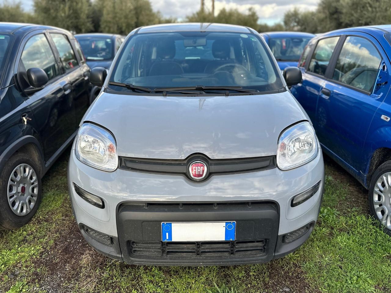 FIAT Panda III 2021 - Panda 1.0 firefly hybrid s&s 70cv 5p.ti