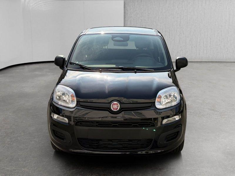 FIAT Pandina 1.0 firefly hybrid Icon s&s 70cv