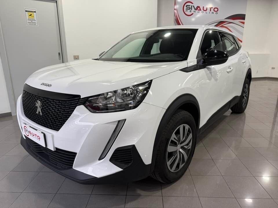 Peugeot 2008 BlueHDi 110 S&S Active