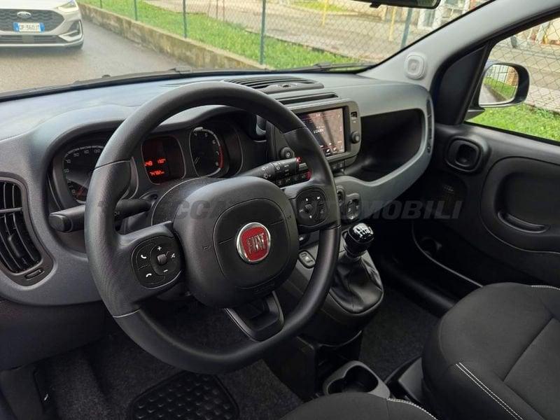 FIAT Panda Cross Panda 1.0 firefly hybrid Cross s&s 70cv 5p.ti