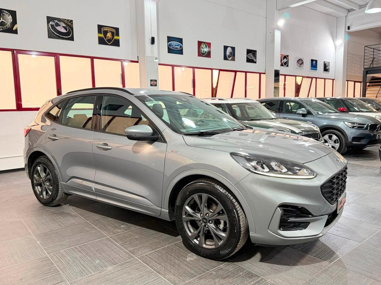Ford Kuga 1.5 Ecoblue ST-Line 120cv Autom2022