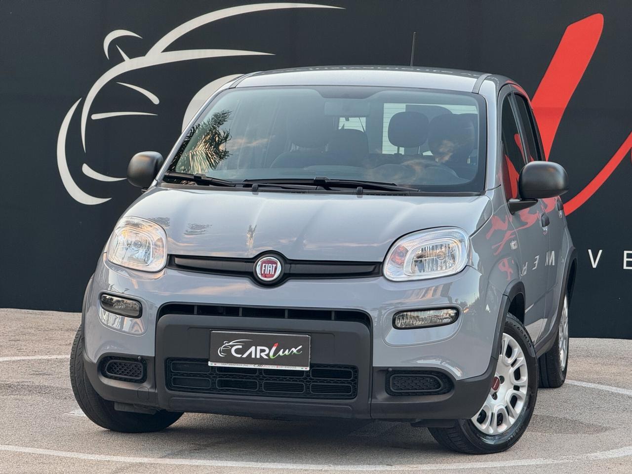 Fiat Panda 1.0 Firefly Hybrid S 70CV MY23