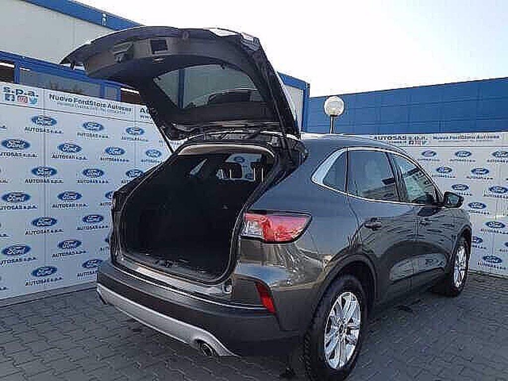 FORD Kuga 1.5 EcoBlue 120 CV 2WD Titanium del 2020