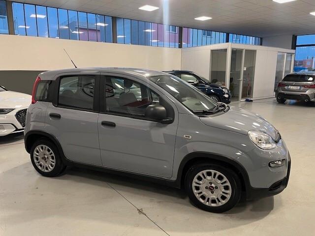 Fiat Panda 1.0 FireFly S&S Hybrid OK NEO PATENTATO 5 POSTI