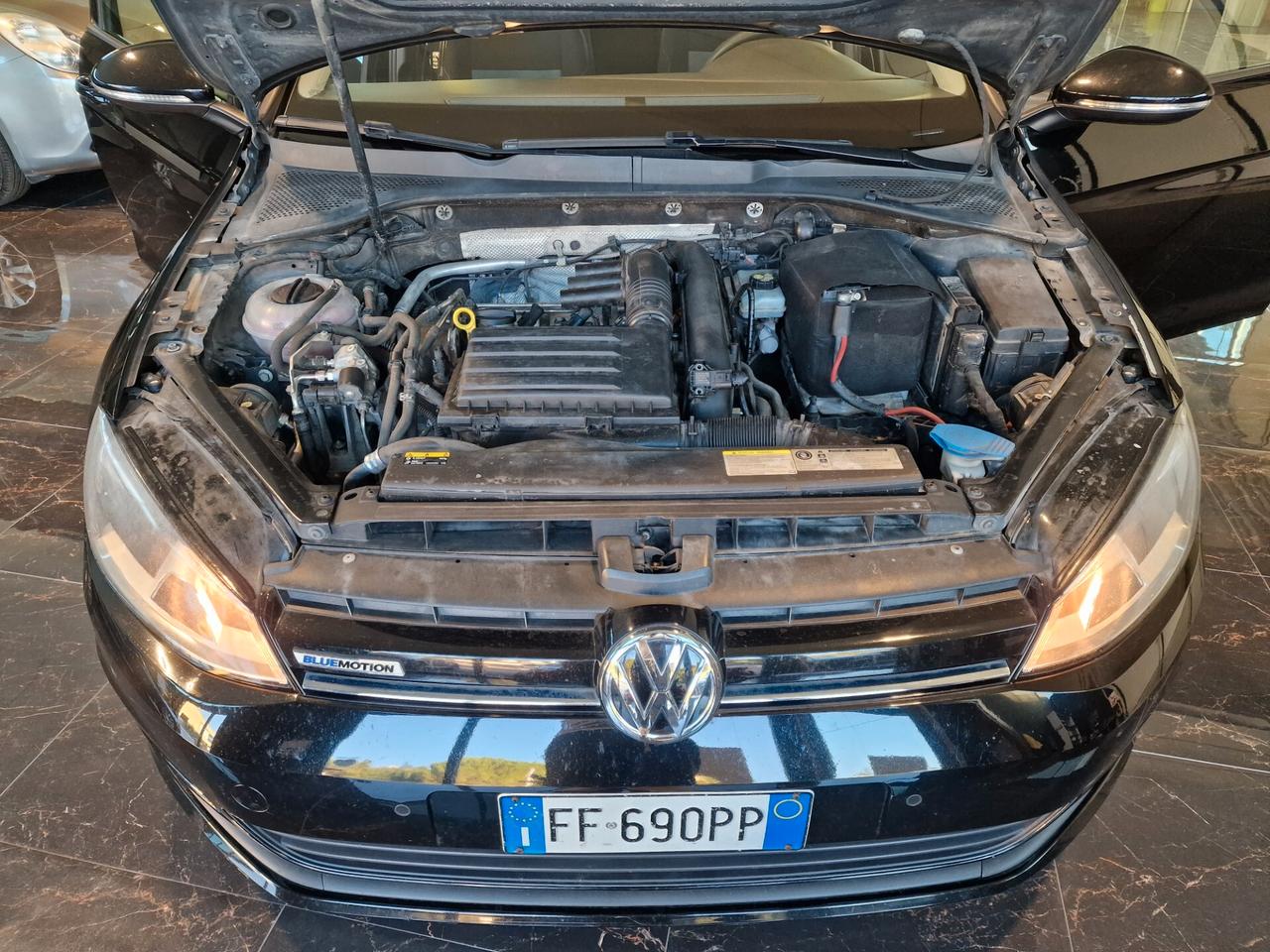 Volkswagen Golf 1.4 TGI 5p. Executive BlueMotion