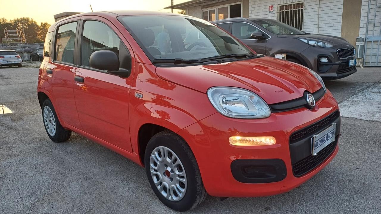 Fiat Panda 1.2 Easy 2020 62MILA KM COME NUOVA