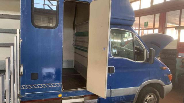 IVECO Daily 35C12 2.3 Hpi Trasporto Cavalli Patente B !!!