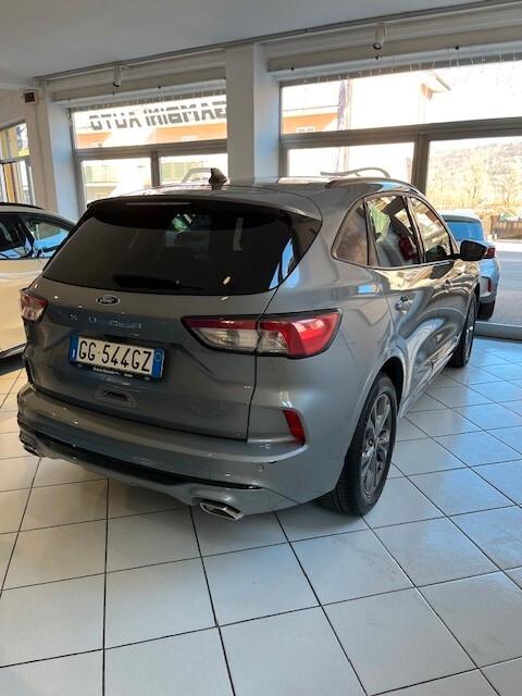 Ford Kuga 1.5 EcoBlue 120 CV aut. 2WD ST-Line