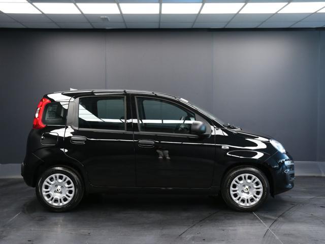 FIAT Pandina 1.0 FireFly 65 CV Hybrid Icon