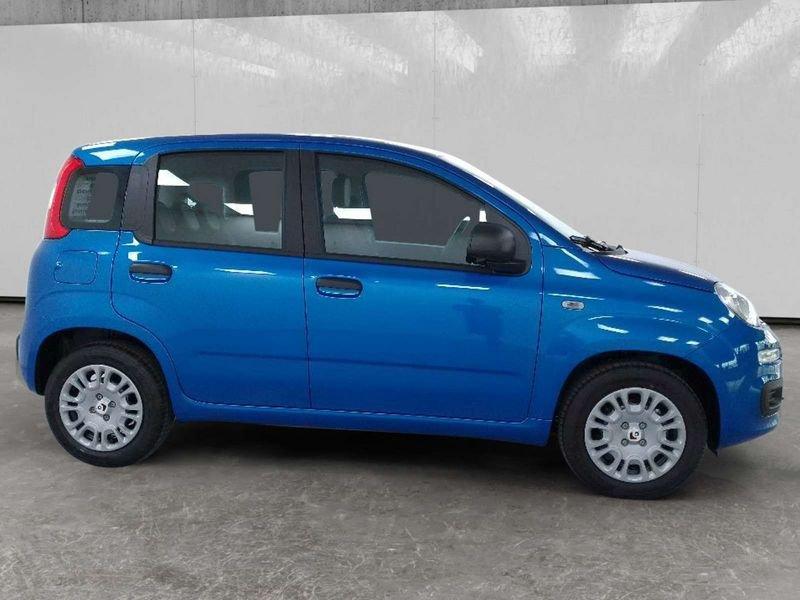 FIAT Pandina 1.0 firefly hybrid Icon s&s 70cv 5p.ti