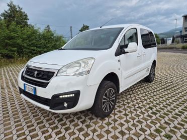 Peugeot Partner Tepee 4x4 Active Traction Control