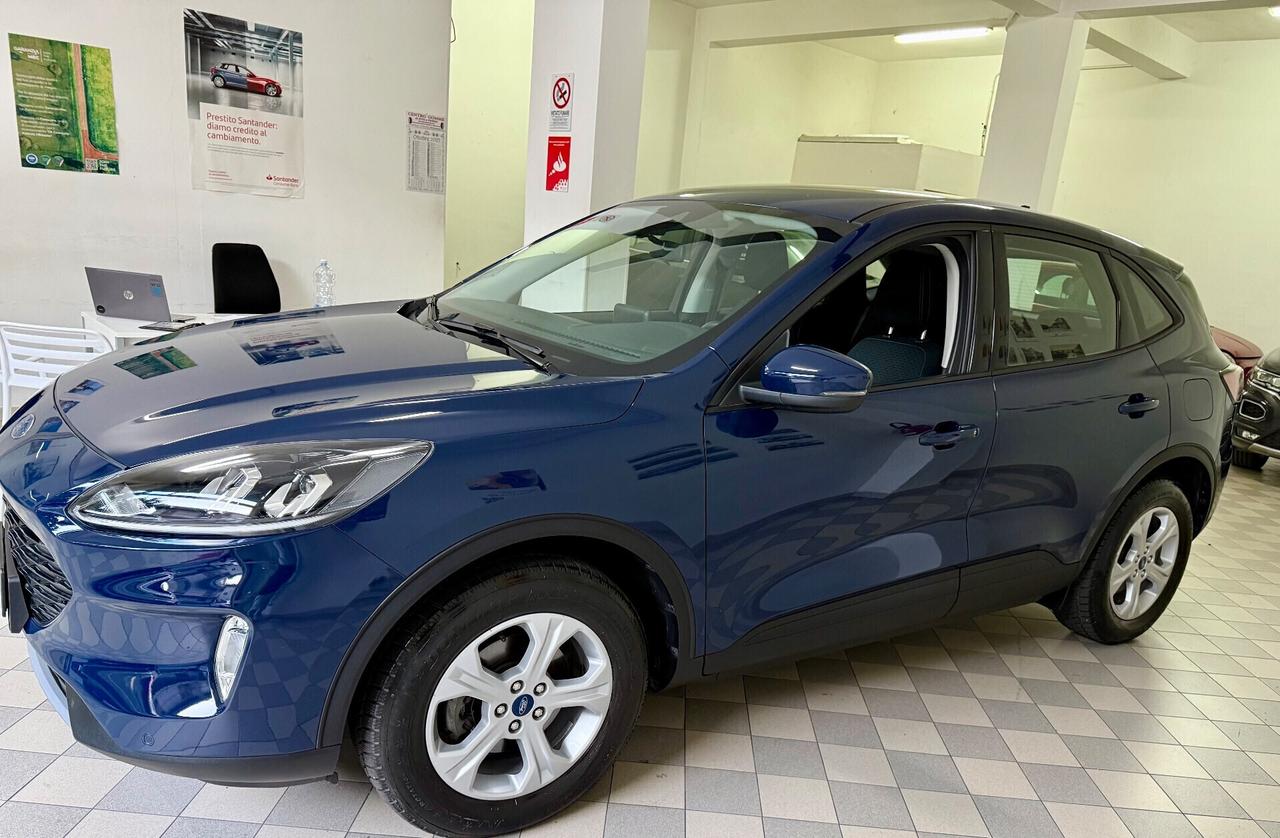 Ford Kuga 2.0 EcoBlue Hybrid 150 CV 2WD Connect