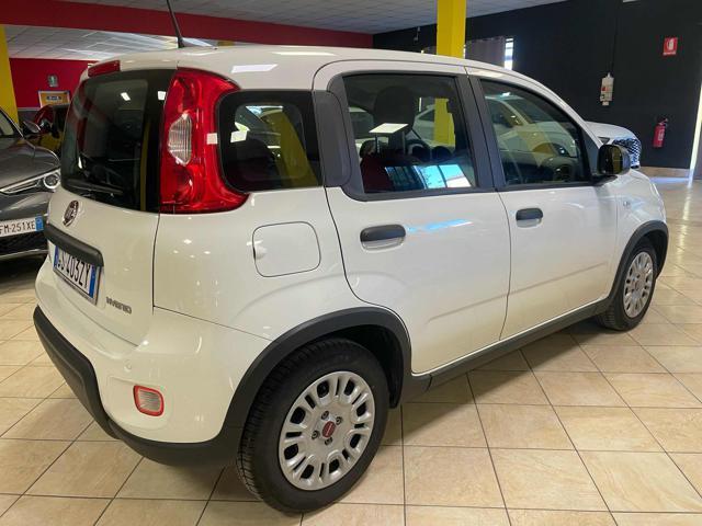 FIAT Panda 1.0 FireFly S&S Hybrid-PREZZO +IVA