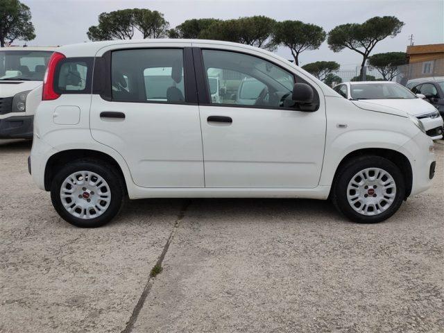 FIAT Panda 1.2 Easy CLIMATIZZATORE OK NEOPATENTATI ..